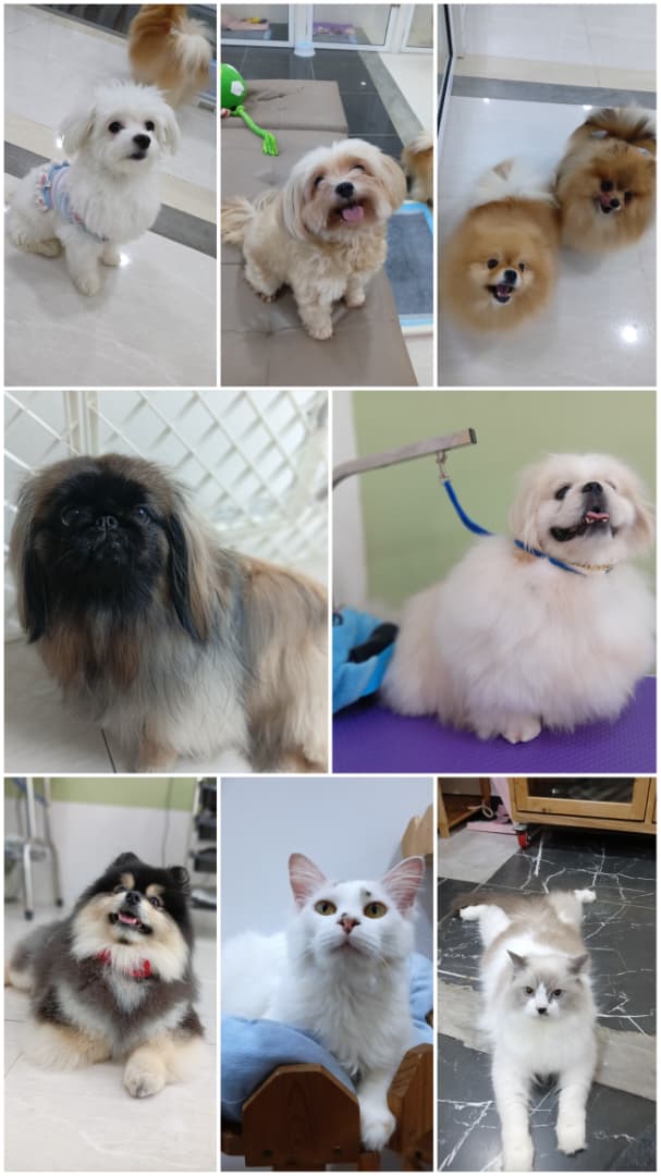 WhatsApp Image 2025-11-20 at 5.12.39 PM (1)