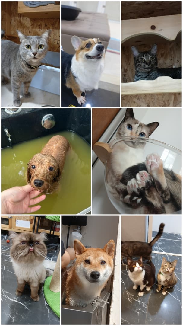 WhatsApp Image 2025-11-20 at 5.12.39 PM (2)