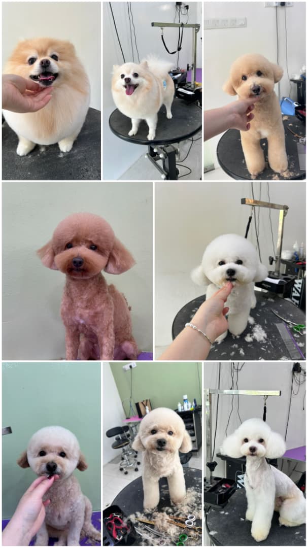 WhatsApp Image 2025-11-20 at 5.12.39 PM