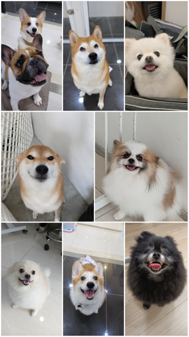 WhatsApp Image 2025-11-20 at 5.12.40 PM (1)