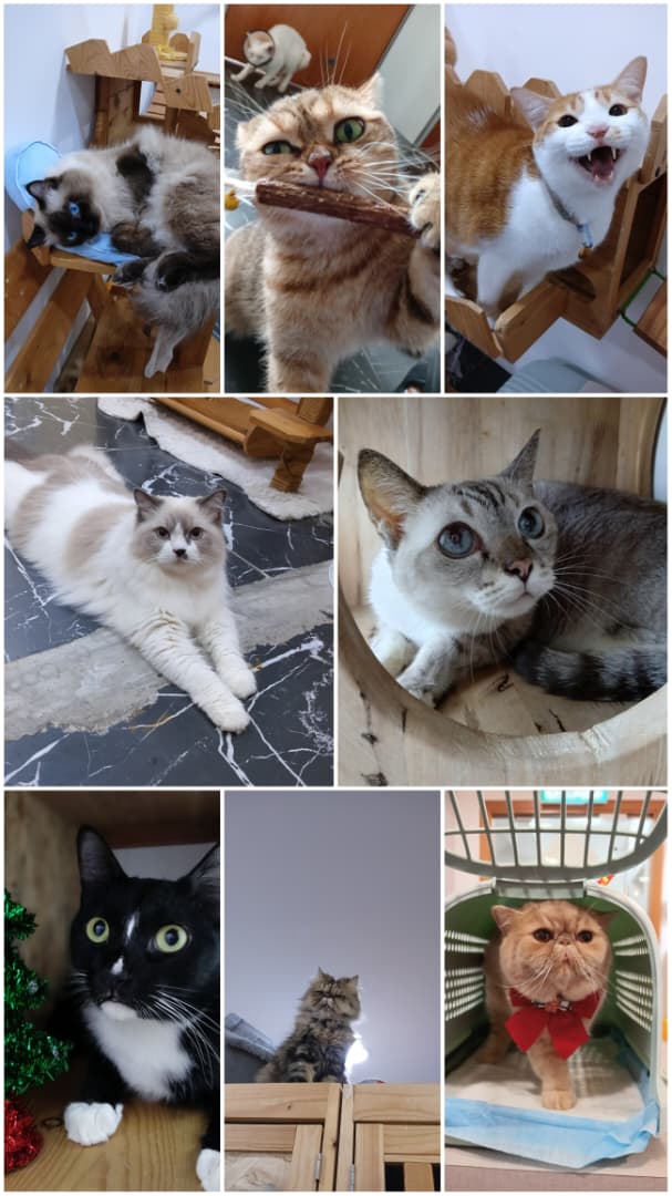 WhatsApp Image 2025-11-20 at 5.12.40 PM